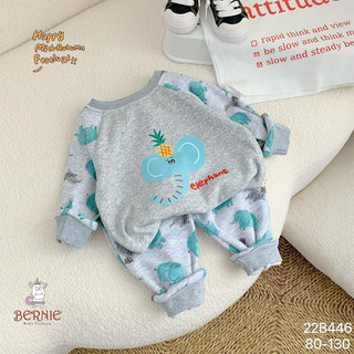 Bộ nỉ lót lông cho bé trai 1-6 tuổi (9-24kg) N049