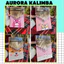 LOTSO GẤU DÂU Đàn Kalimba Trơn 17 Phím Tặng Đầy Đủ Phụ Kiện Túi, Búa, Hướng Dẫn, Khăn Lau, Dán Phím GS65