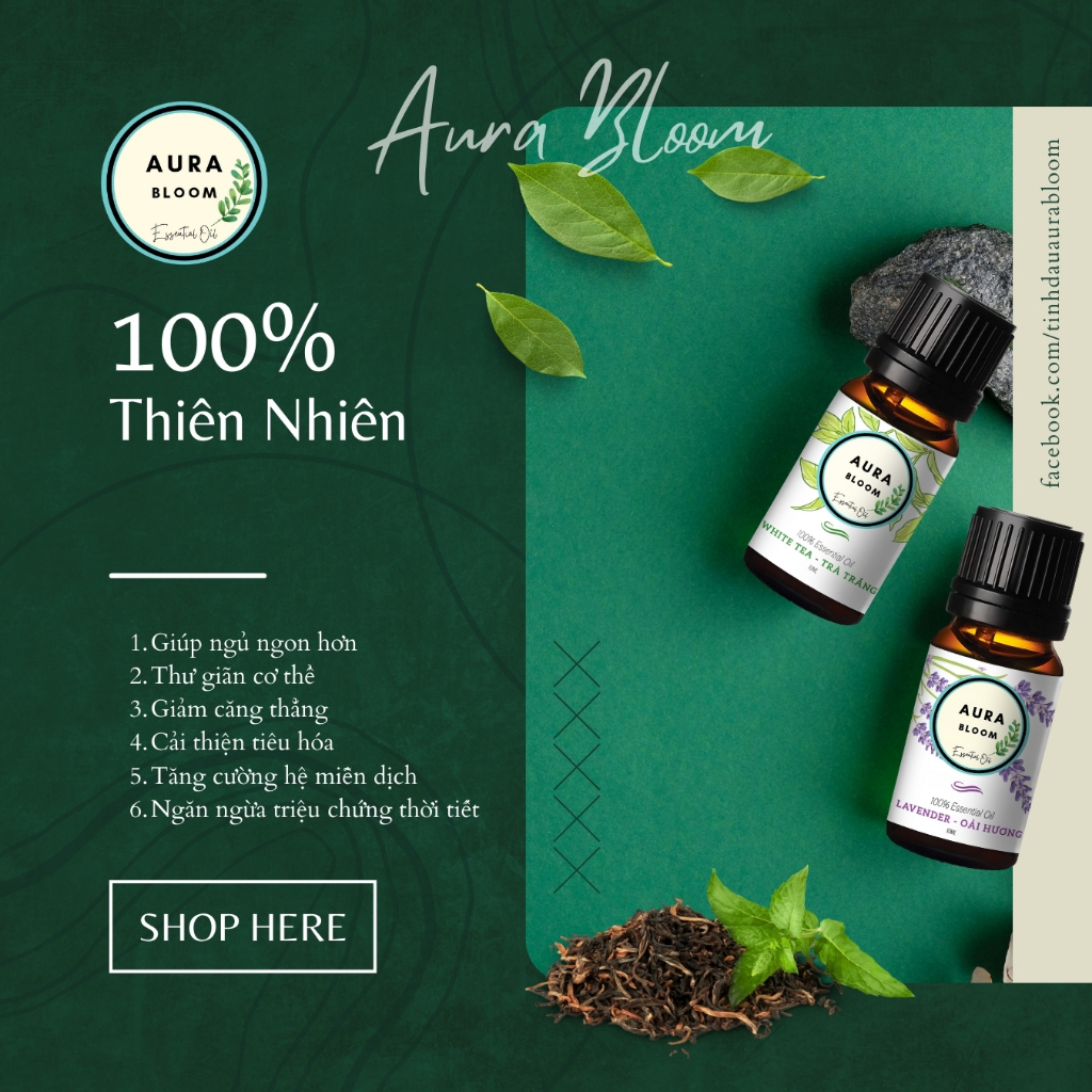 Thiết kế của Ô Cao Cấp