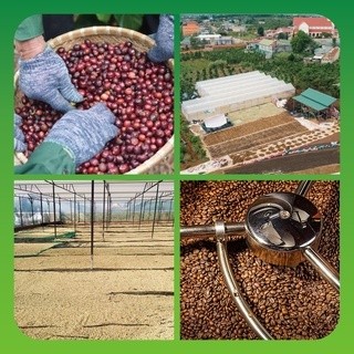 Cà phê cao cấp đặc biệt Laha Blend tỉ lệ 70% Robusta 30% Arabica pha phin pha máy LAHA COFFEE | 500GR