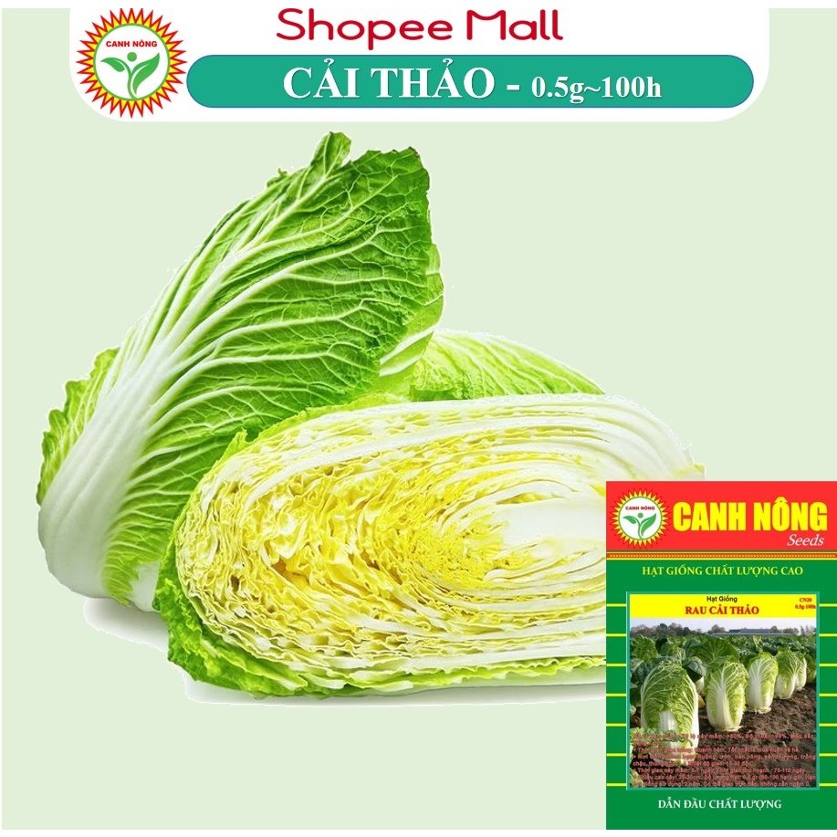 Hạt giống Cải Thảo bắp to, trồng quanh năm, dễ chăm sóc (gói 0.5 gr ~100 hạt)