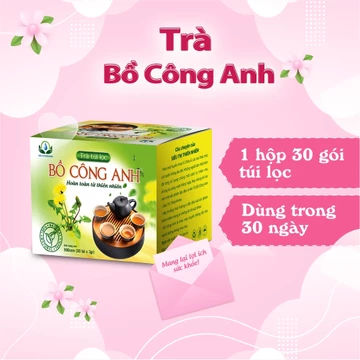 Trà Bồ Công Anh hộp 30 Túi Lọc x 3Gram của Siêu Thị Thiên Nhiên