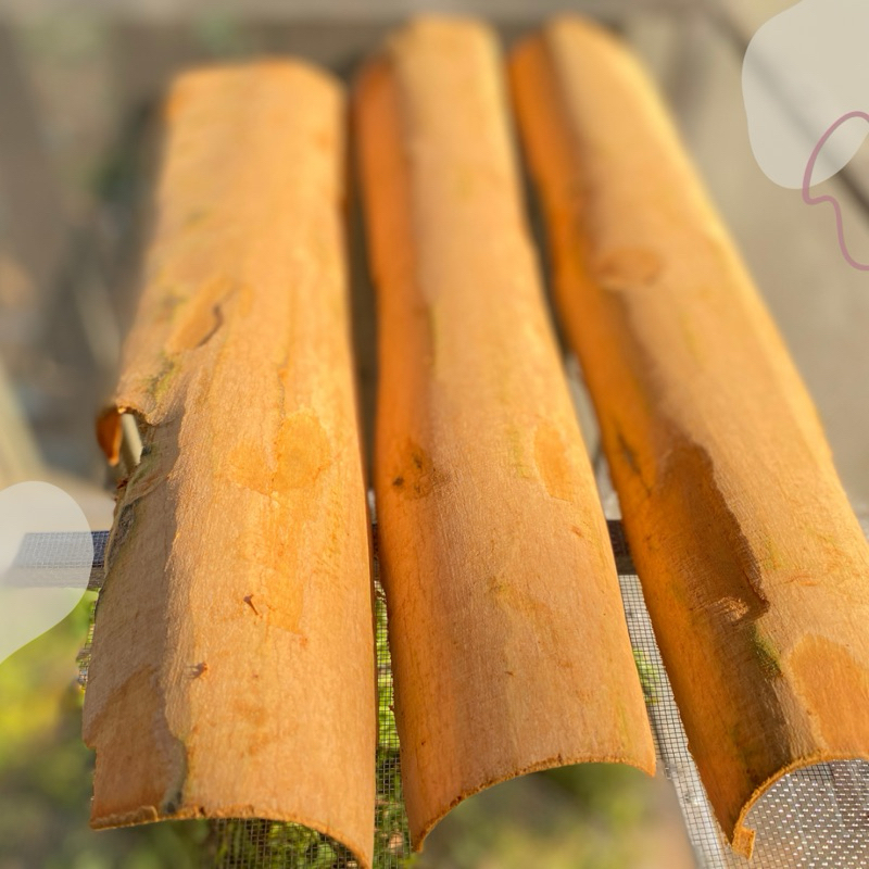 Bột quế hữu cơ,bột gia vị quế #Que , #huuco