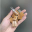Cài trúc và xiên inox TQ dùng xiên hoa quả cho chào mào , khuyên , hút mật