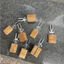 Cài trúc và xiên inox TQ dùng xiên hoa quả cho chào mào , khuyên , hút mật