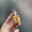 Cài trúc và xiên inox TQ dùng xiên hoa quả cho chào mào , khuyên , hút mật