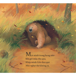 Sách tranh song ngữ Gấu bị ốm - Ehomebooks