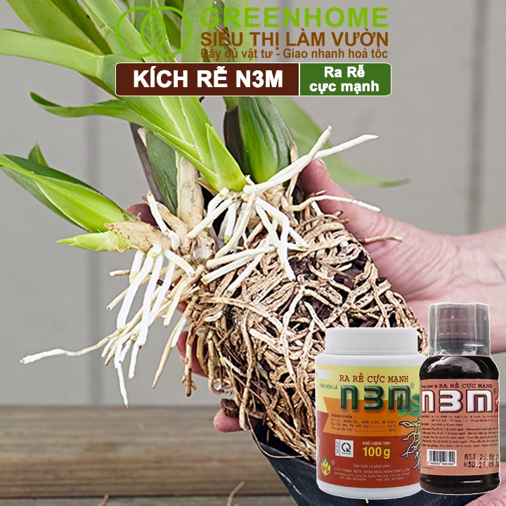 Ảnh Phân Bón Lá Greenhome, N3M, Hũ 100gr, Ra Rễ Cực Mạnh Dùng Giâm, Chiết Cành, Ngâm Hạt, Chuyên Kiểng 3