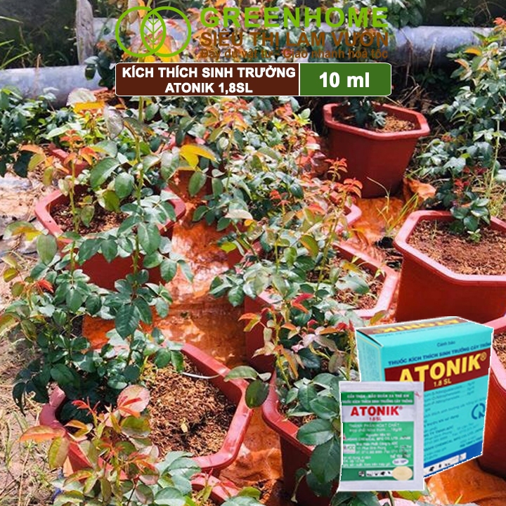 Ảnh Phân bón lá Atonik Greenhome, gói 10ml, thúc đẩy sinh trưởng cây trồng chuyên phong lan, hoa hồng 4