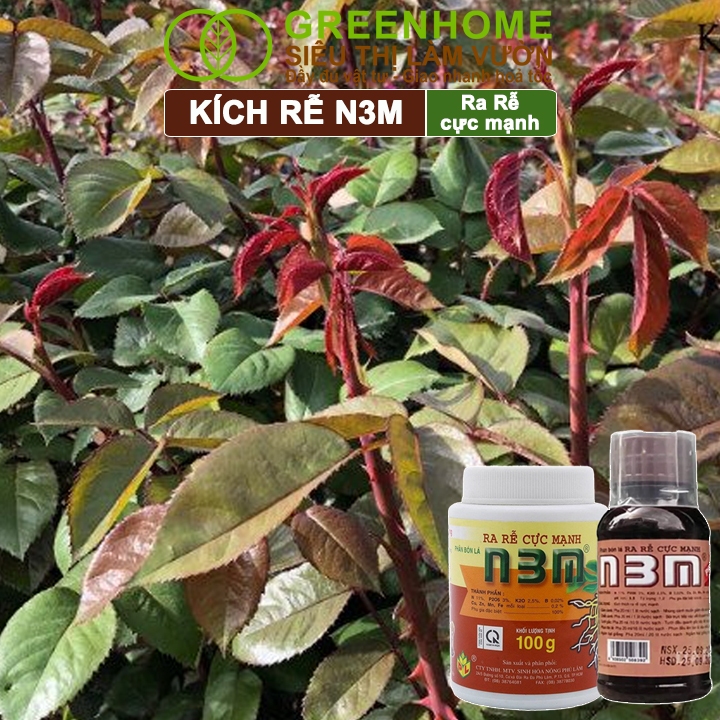 Ảnh Phân Bón Lá Greenhome, N3M, Hũ 100gr, Ra Rễ Cực Mạnh Dùng Giâm, Chiết Cành, Ngâm Hạt, Chuyên Kiểng 4