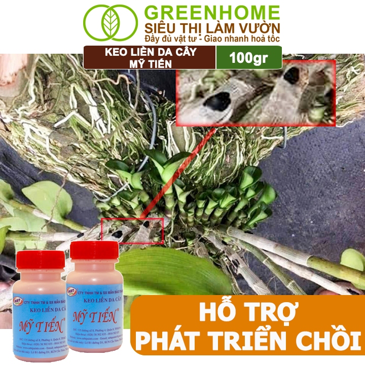 Ảnh Keo Liền Sẹo Cho Cây Greenhome, Mỹ Tiến, Chai 100gr, Liền Nhanh Vết Cắt Da Cây, Chiết Cành 4