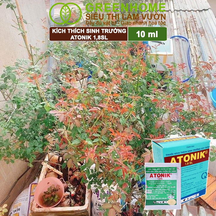 Ảnh Phân bón lá Atonik Greenhome, gói 10ml, thúc đẩy sinh trưởng cây trồng chuyên phong lan, hoa hồng 2