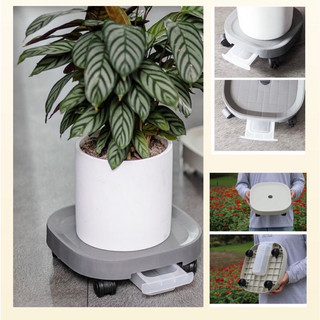 Đế Lót Chậu Hoa ,Kệ Cây Cảnh Có Bánh Xe Di Chuyển Đa Năng , Khay Hứng Nước Tiện Lợi Chịu Lực 80kg
