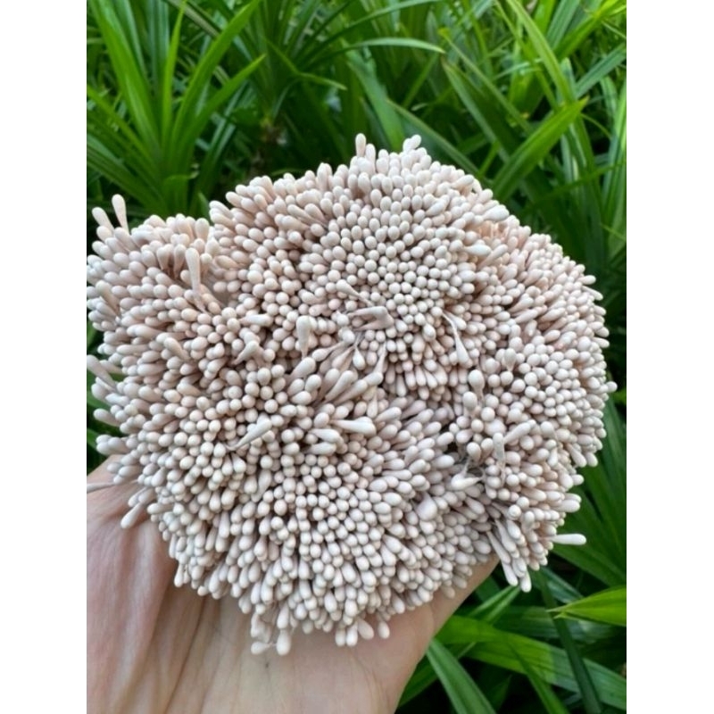 Bó 100 Nhụy ( Nhị) Hoa Bột 2 Đầu Cao Cấp Dùng Làm Hoa Kẽm Nhung, Handmade, Decor, Triền hoa