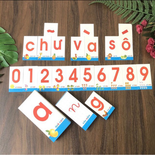 Bộ 44 thẻ nhận biết Chữ cái và Số - 3 kích thước - dành cho cô và trò