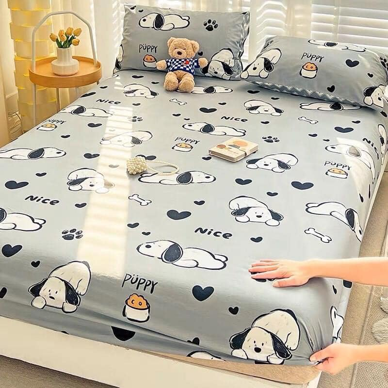 Ga trải giường poly cotton 80cm,100cm,1m2,1m6,1m8,Drap bọc nệm đẹp,được chọn mẫu