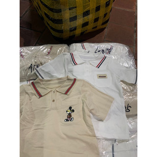 Áo len polo cổ bẻ cộc tay hình mickey, tag gu ci 453