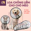 Loa Chống Liếm Cho Chó Mèo Giúp Chống Liếm Bảo Vệ Chó Mèo Với Đầy Đủ Kích Thước - KIKINO