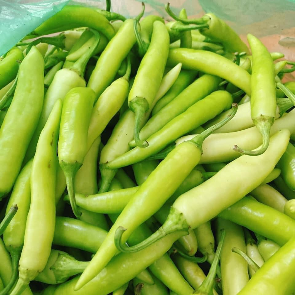 1kg ỚT XANH HUẾ - rất thơm và cay đúng vị ớt huế | Shopee Việt Nam