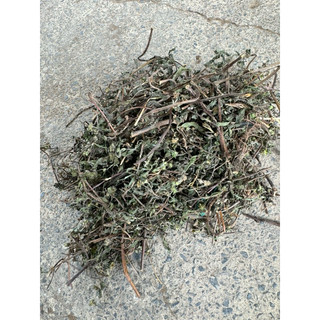 Nhọ Nồi (Cỏ Mực) Khô 1kg Nguyên Chất | Dược Liệu Khô Chọn Lọc | Thảo Dược Đạt Huyền