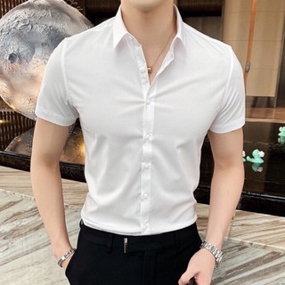 Áo sơ mi nam trơn Basic vải không nhăn cao cấp dài tay xuất dư cao cấp Avocado