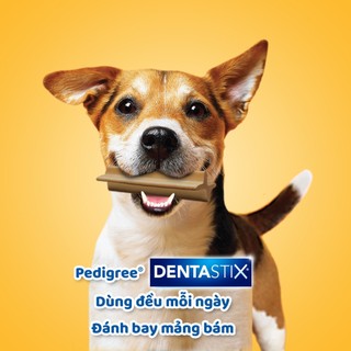 [ Hộp 12 gói ] Bánh xương cho chó Pedigree Dentastix , Bánh thưởng chăm sóc răng miệng