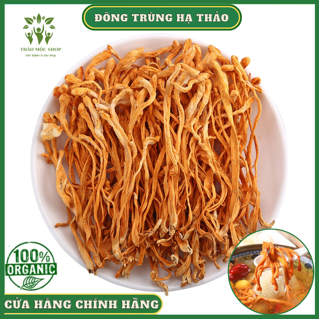 ✅[HÀNG CAO CẤP]  Đông Trùng Hạ Thảo 100gr Sấy Khô Sợi To Ngon Hàng Cao Cấp Bồi Bổ Cơ Thể