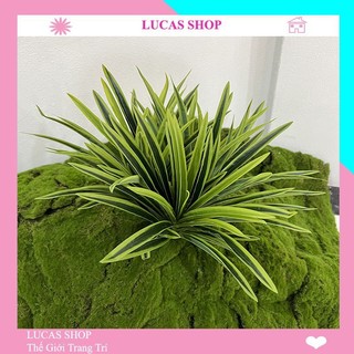 Hoa giả - Cụm hoa Tóc Tiên 35cm Docer Trang Trí Nội Thất, Cửa Tiệm Tinh Tế, Thanh Lịch.