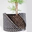 Đế nhựa tròn bầu ươm lỗ V đường kính 40cm