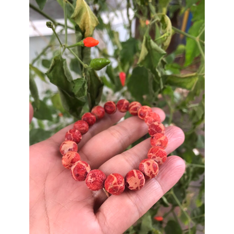 vòng tay san hô đỏ mộc 8ly đến 20ly
