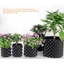 Đế Nhựa Tròn Bầu Ươm Lỗ V Đường Kính 50cm