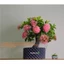 Đế Nhựa Tròn Bầu Ươm Lỗ V Đường Kính 50cm
