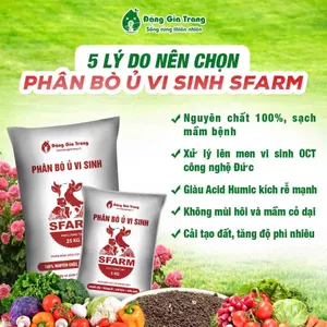 Phân Bò Ủ Vi Sinh Sfarm bao 25kg