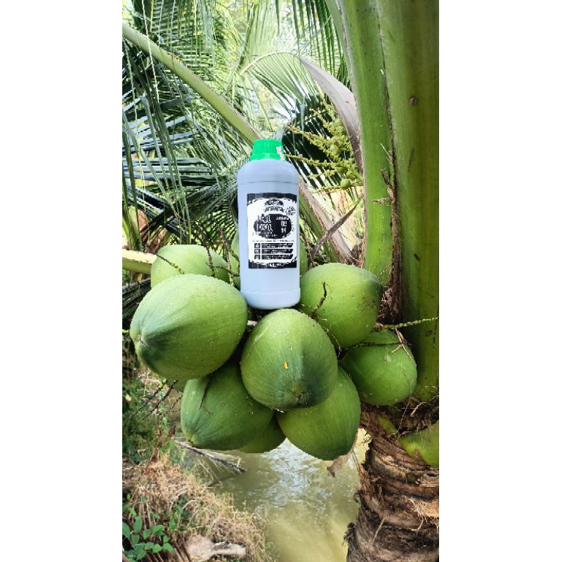 RA HOA DỪA HuMic Tổng hợp ( Tưới gốc tổng hợp chai 1000ml ) số lượng 1 chai