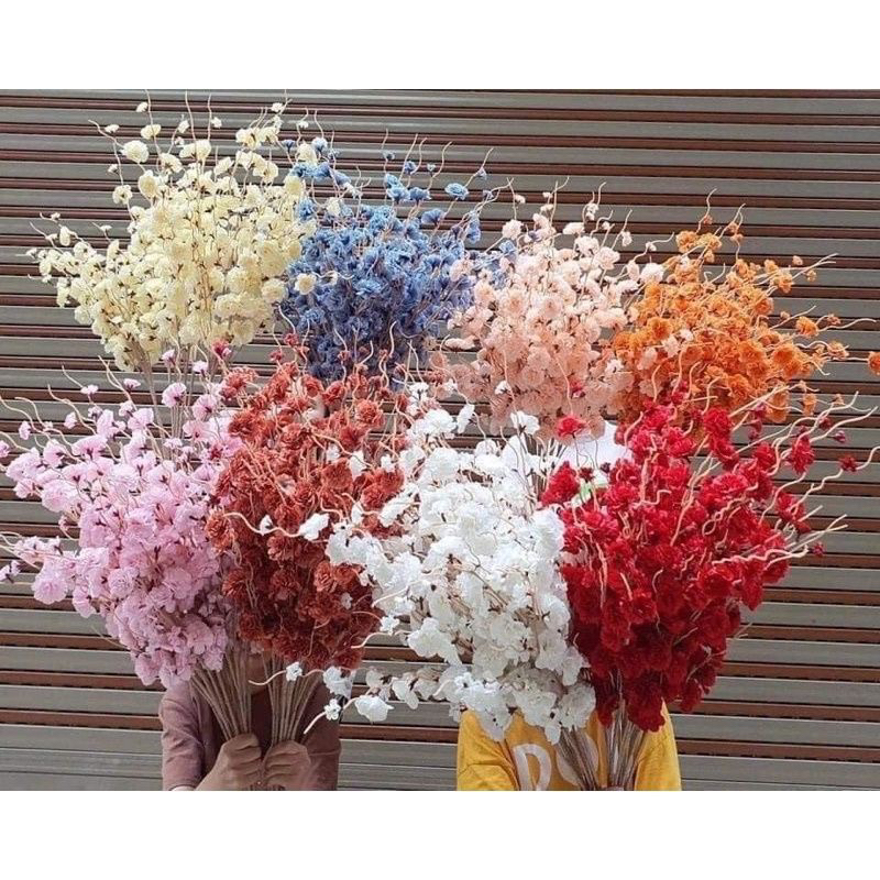 Cành hoa lụa đào râu cao cấp trang trí tết | Shopee Việt Nam