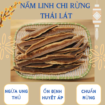 0.5kg Nấm Linh chi rừng Kon Ka Kinh (Thái từ nấm tươi, thơm, sạch, hàng chuẩn rừng Gia Lai)