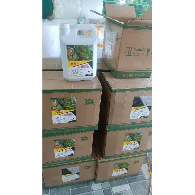 ( Can A.E 5 lít ) Siêu Ra Hoa Dừa, chống rụng trái non, Phục hồi cây nhanh chóng sau lần tưới đầu tiên