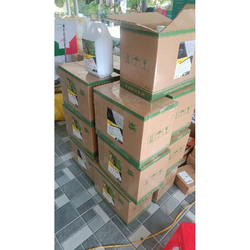( Can A.E 5 lít ) Siêu Ra Hoa Dừa, chống rụng trái non, Phục hồi cây nhanh chóng sau lần tưới đầu tiên