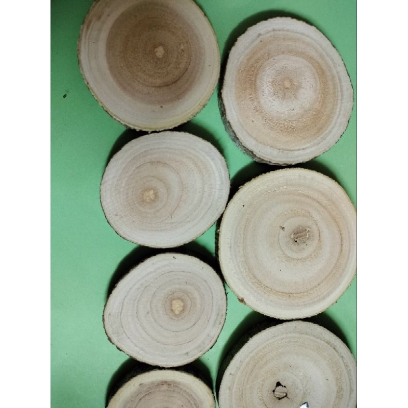 Khoanh Gỗ, Đế Gỗ Chà Mịn Dùng Decor, Trang Trí , Làm Cây Thông