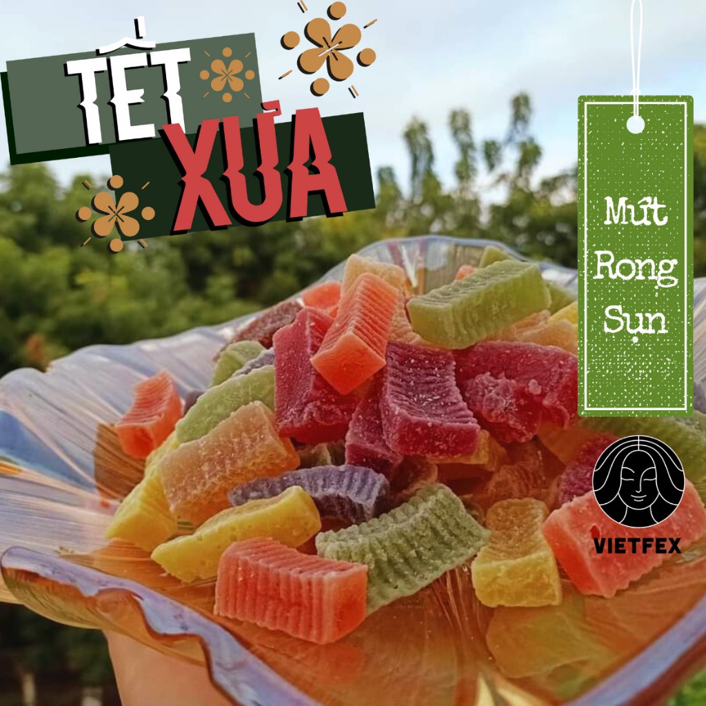 Mứt Rong Sụn Organic Vietfex Đặt Sản Phan Rang 200gram | Shopee Việt Nam