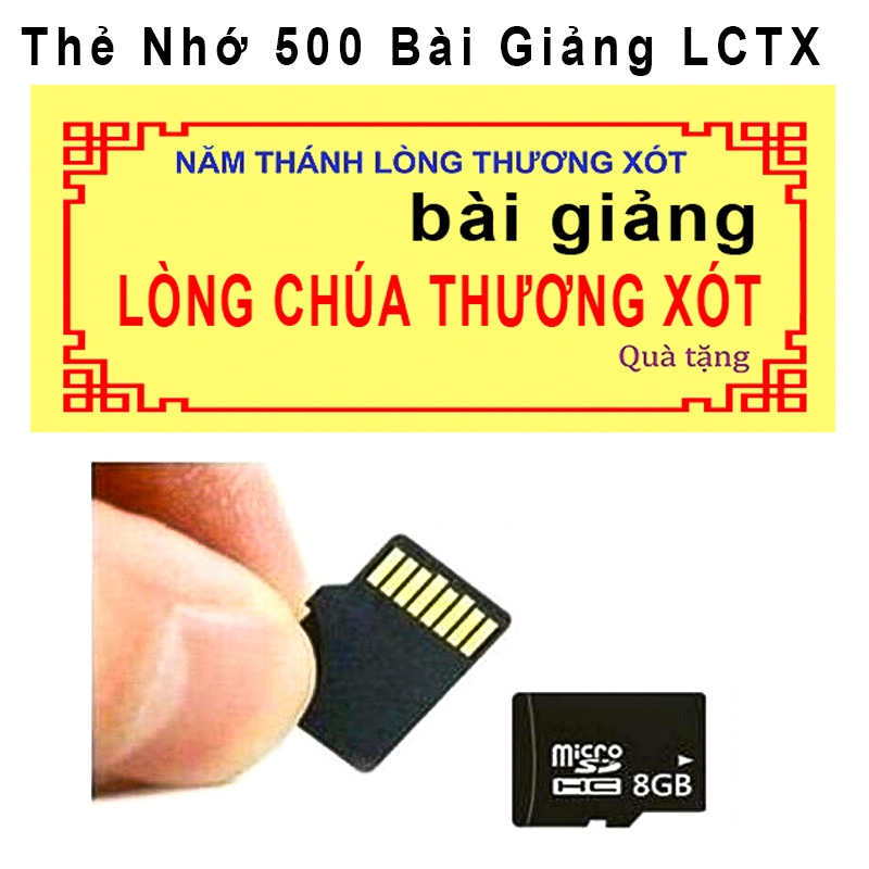 Th nh 500 b i gi ng L ng Ch a Th ng X t cha Tr n nh Long