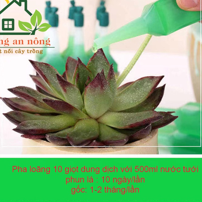 Dung dịch thủy canh, chai 40ml, chuyên trồng hoa sen, súng cây trong nước, an toàn cho cá