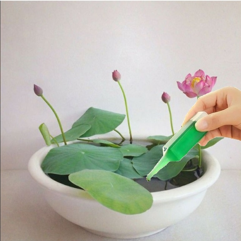 Dung dịch thủy canh, chai 40ml, chuyên trồng hoa sen, súng cây trong nước, an toàn cho cá