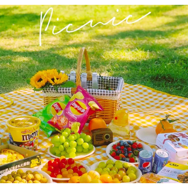 Thảm dã ngoại picnic đi du lịch đi phượt chụp ảnh bạt trải cắm trại gấp gọn tiện dụng