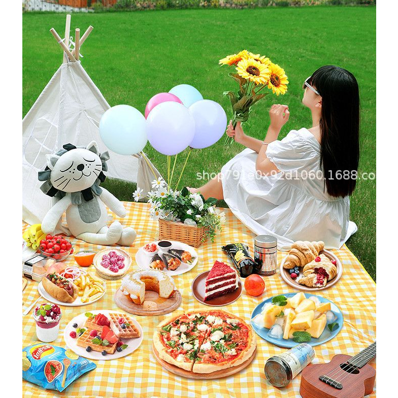 Thảm dã ngoại picnic đi du lịch đi phượt chụp ảnh bạt trải cắm trại gấp gọn tiện dụng