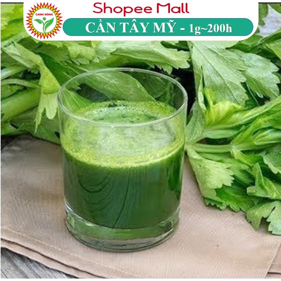 [GÓI CHÍNH HÃNG 1K] - Hạt Giống Cần Tây Mỹ Cần Tây Bẹ To Chuyên Ép Nước, Dễ Trồng, Dễ Chăm Sóc - Hạt Giống CANH NÔNG