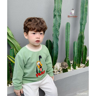 Áo nỉ cho bé trai 1-6 tuổi (9-23kg) N017