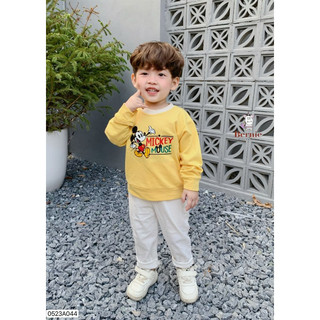 Áo nỉ cho bé trai 1-6 tuổi (9-23kg) N017
