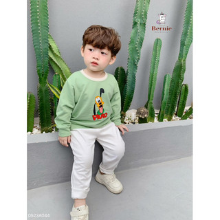 Áo nỉ cho bé trai 1-6 tuổi (9-23kg) N017