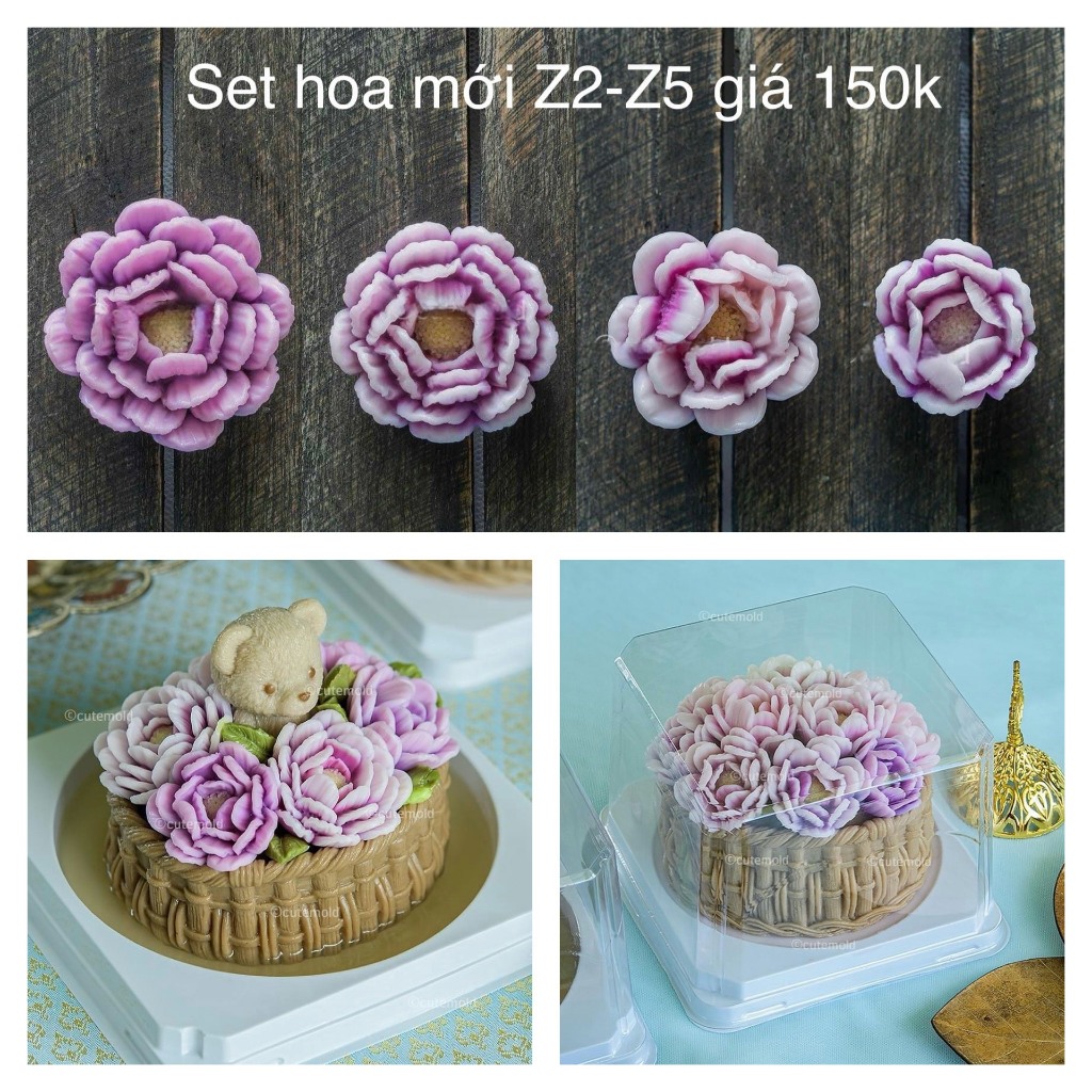 Set 4 hoa thái Z2-Z5